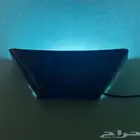 مصيدة الحشرات الجدارية