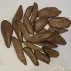 عود مروكي ملكي- عود المجالس