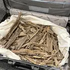 عود هندي غابات نصف كيلو عرض فاخر