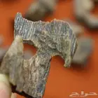 عرض عود صيني غابات كينام فرصة لزيادة الدخل
