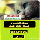 في سفركم - فندقة قطط وطيور - 61 60 24 0555 شاهد التقييمات
