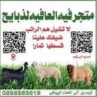 ذبايح بين يديك