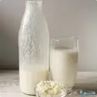 لبن الكفير او الكيفر أو الفطر الهندي.