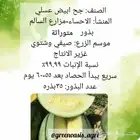 بذور جح بطيخ حبحب ملون