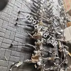 دودة كهربائية لجميع أنواع السيارات
