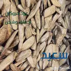 عود مروكي جاهز للبيع والاهداء
