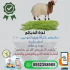 ذبايح نعيم حري نجدي تيوس مع التغليف والتوصيل وخدمة تمارا