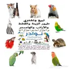 جديد اكل قطط وجميع مستلزماتها نوادر خميس مشيط