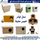 اعشاش بياضات طيور زيبرا وبادجي نوادر