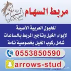 مربط السهام للخيول العربية