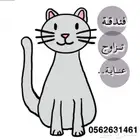 فندقة قطط اليفك عندنا
