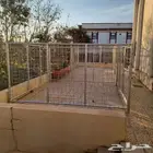 شبوك تفصيل على أصوله للإبل و الغنم
