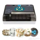 فقاسه بيض طيور كروان ببغاء دجاج حمام دره كناري روز سمان