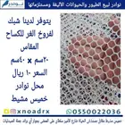 طيور زينة ومستلزماتها محل نوادر خميس مشيط