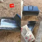 شواية فحم