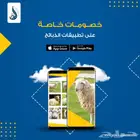 تطبيق جوال لعرض وبيع الذبائح واستقبال طلبات العملاء