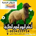 أنعام اليوم للذبائح