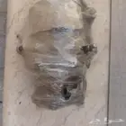 كنبرسر فورد اكسبدشن جيد جدا