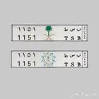 لوحة خصوصي للبيع 1151