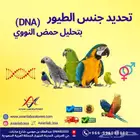 تحديد جنس طيور زينة و ببغاء بتحليل الحمض النووي DNA