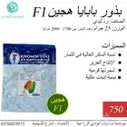 بذور بابايا رد ليدي القزمي هجين F1