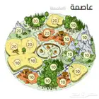 لعبة ترافيان زمن التتار السيرفر السعودي