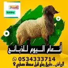 ذبيحتك لباب بيتك متوفر تابي وتمارا