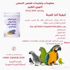 تحليل DNA لطيور