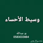 وسيط الاحساء