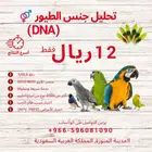 تحديد جنس الطيور بالحمض النووي خلال اسبوعين