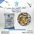 مشكل بلجيكي
