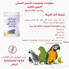 تحديد جنس الطيور بتحليل الحمض النووي DNA