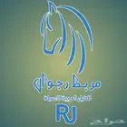 ايواء خيل مكه الراشدية
