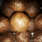 دلكة سودانية اصليه بالجملة عرض 45 ريال للكيلو بيعة كاملة