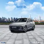 اكسنت فليت 2025