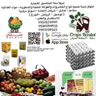 توريد خضروات وفواكه والمواد الغذائية