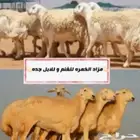 يمرحبا ب الجميع