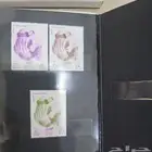 رائد التضامن الاسلامي المغفور له الملك فيصل