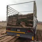 نجيلة   ثيل طبيعي مع التوصيل و التركيب