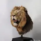 تحنيط الطيور والحيونات