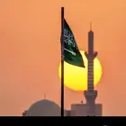 Saudi Engineer Gosi مهندس سعودي