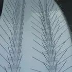 تركيب شبك مانع الحمام بالمدينة 0536591696