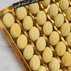 جوزيه باللوتس متوفر تسليم فوري