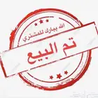 زيبرا ذكر وانثى ..عرض خاص جدا
