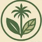 حناء امشاط وسدر مضمون