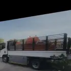دينا الرس نقل عفش مستودعات