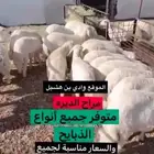 مراح الديره لجميع أنواع الذبايح