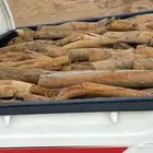 هيلكس غمرتين 2013