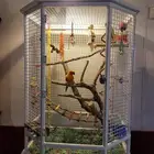 فندقه طيور