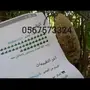 عسل حر جبلي جنوة جديدة اراء العملاء إيجابية 